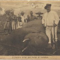 Fd 002 005 013 Pstcrd  Wm Mcrae